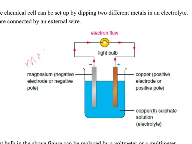 Biology worksheet Ch.1-2(2)(E)Chemical substances in cell